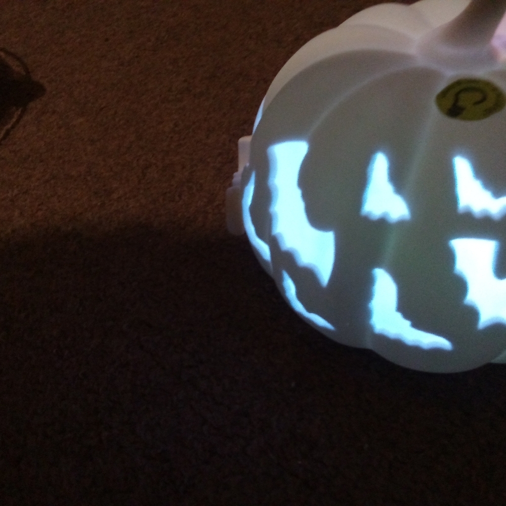 Led Halloween Iight Up Decorations New With Different Colors One
